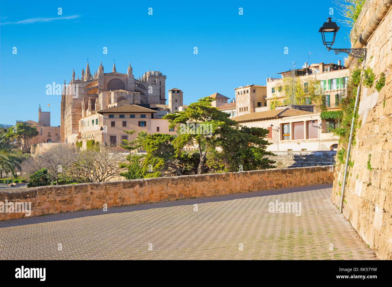Palma de Majorque - La cathédrale La Seu, promenade et parc de murs de la ville. Banque D'Images