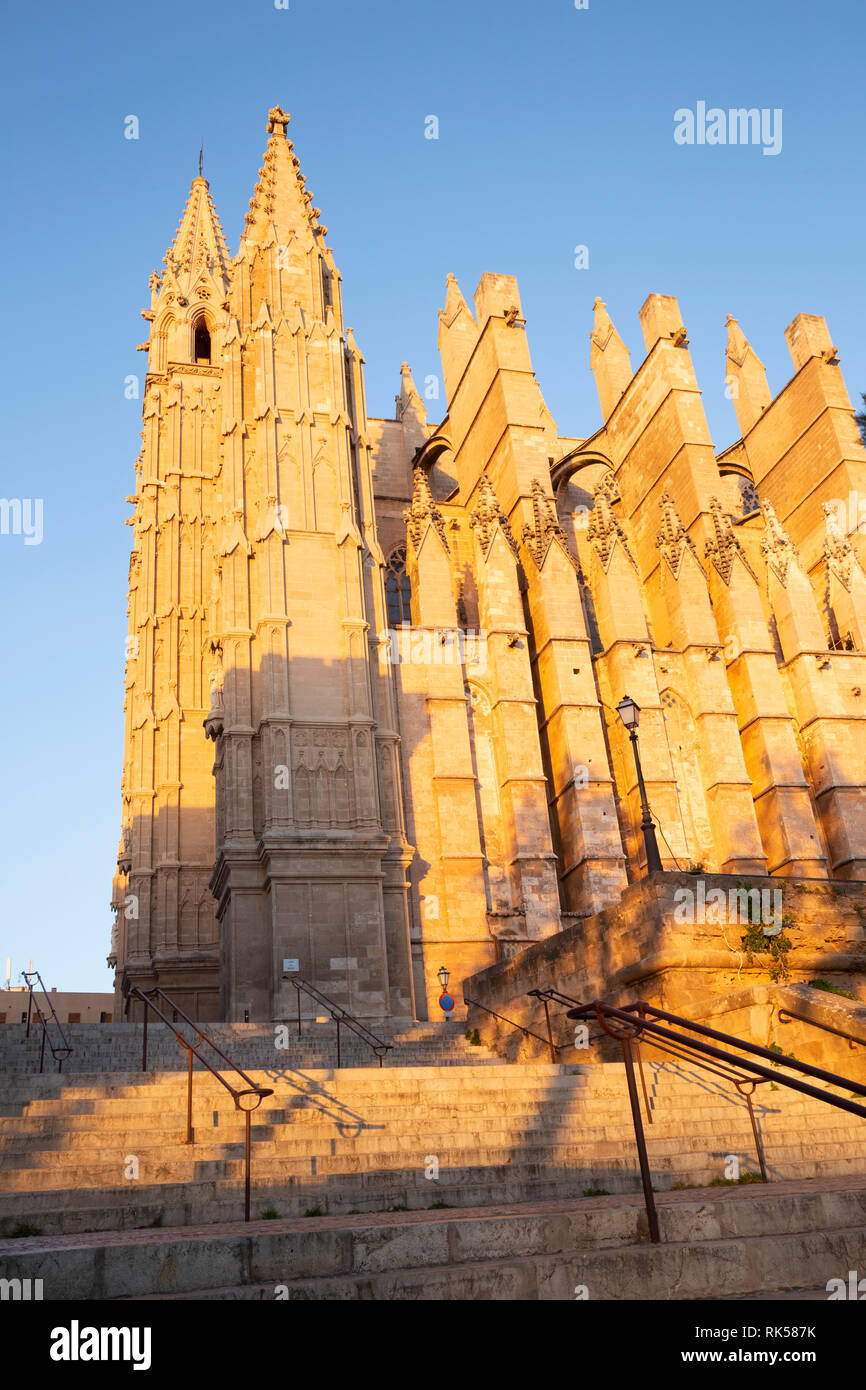 Palma de Majorque - La cathédrale La Seu et l'Almudaina. Banque D'Images