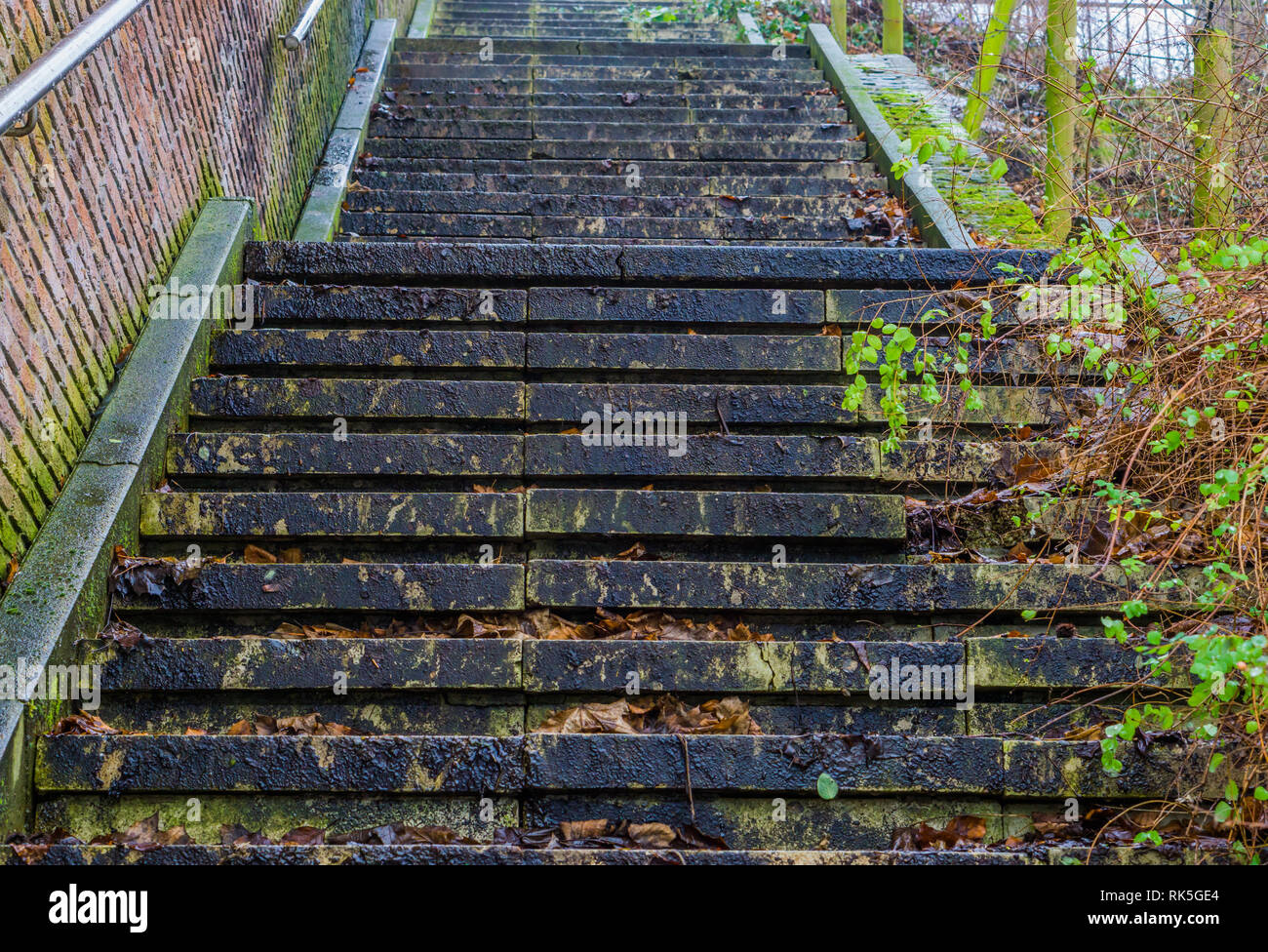 Escalier de pierre au milieu de la nature, l'architecture extérieure, des mesures visées dans les feuilles, les escaliers glissants Banque D'Images