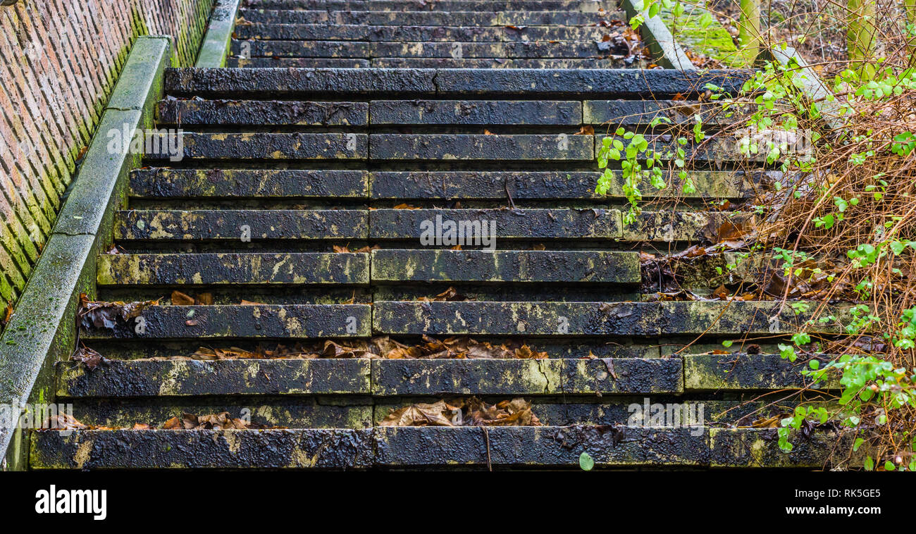 Libre d'un escalier glissant dans la saison d'automne, architecture, escaliers extérieurs au milieu de la nature Banque D'Images