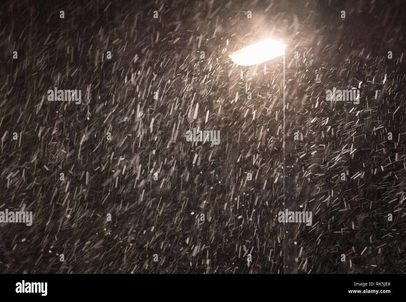 La neige qui tombe dans la nuit par un lampadaire. Banque D'Images
