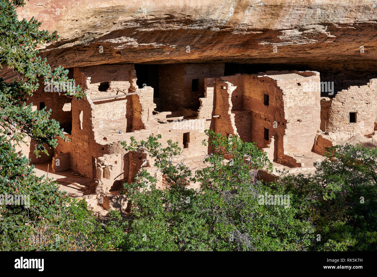Maison de l'arbre de l'épinette, Cliff dwellings in Mesa-Verde-National Park, UNESCO World Heritage site, Colorado, USA, Amérique du Nord Banque D'Images