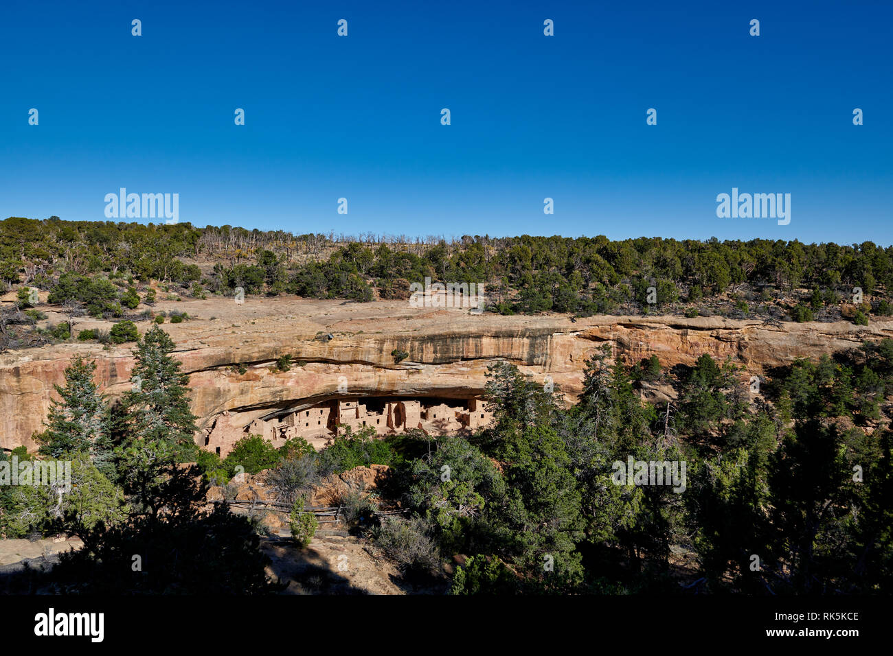 Maison de l'arbre de l'épinette, Cliff dwellings in Mesa-Verde-National Park, UNESCO World Heritage site, Colorado, USA, Amérique du Nord Banque D'Images