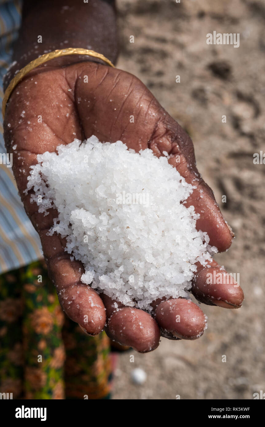 Extrait frais sel dans une main humaine dans Southindia Banque D'Images