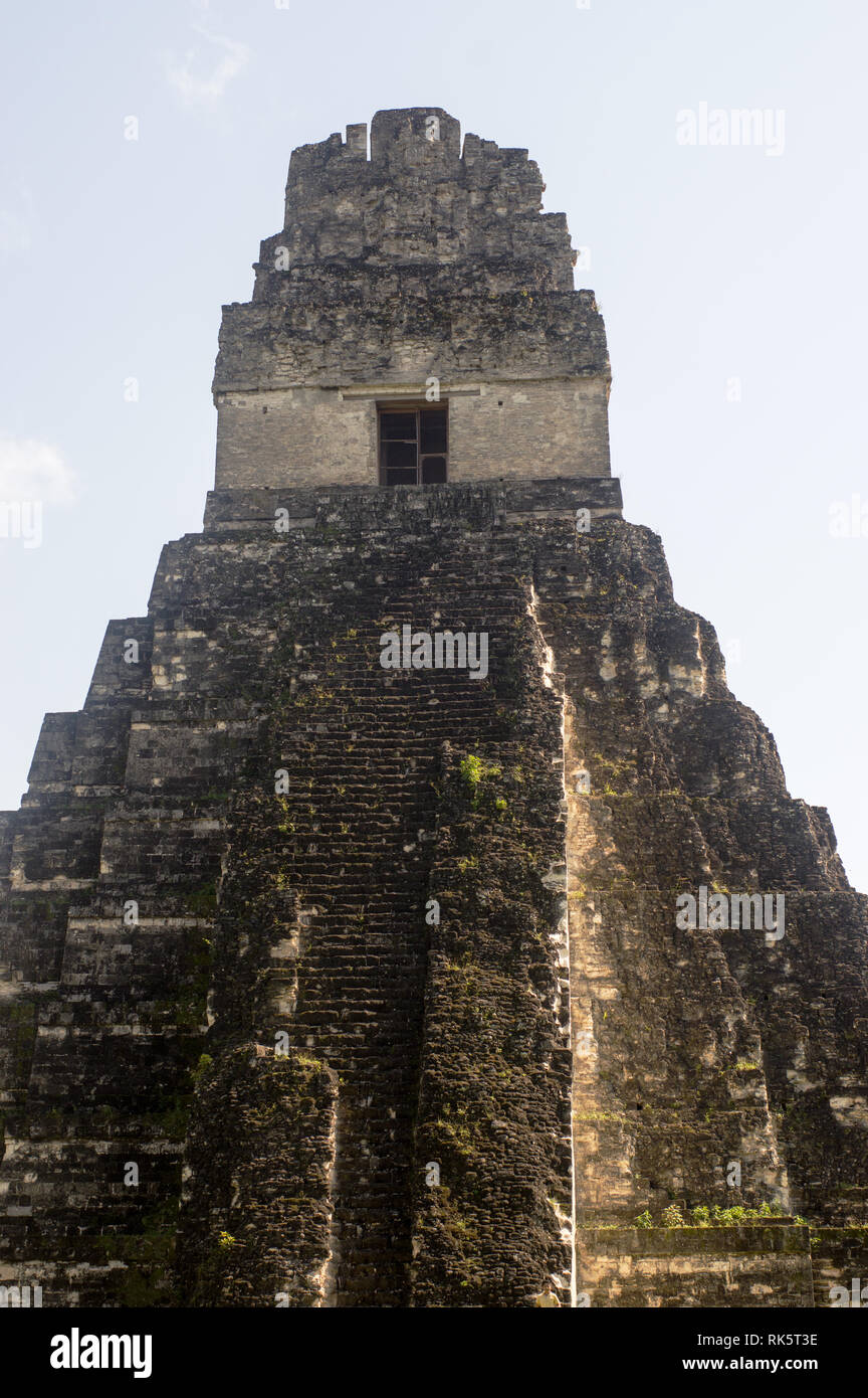 Tikal (Guatemala) temple 1 dans la jungle Banque D'Images
