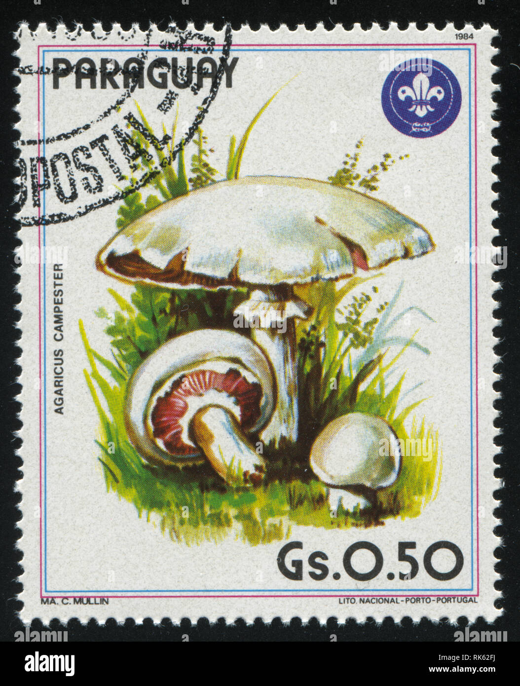 Russie KALININGRAD, 19 avril 2017 : timbres par le Paraguay, champignons, vers 1984 montre Banque D'Images