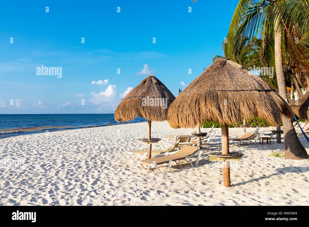 Chaises longues ou chaise longe chaises longues sous des parasols en chaume un luxe plage tropicale avec palmiers le long de la côte des Caraïbes de la sta Banque D'Images
