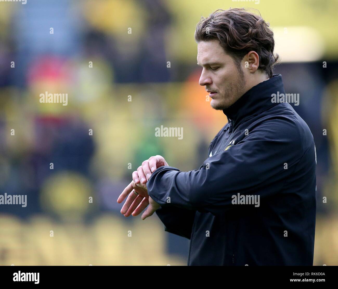 Dortmund, Allemagne. 09Th Feb 2019. firo : 09.02.2019, football, 1.Bundesliga, la saison 2018/2019, BVB, Borussia Dortmund - TSG 1899 Hoffenheim, Edin TERZIC, co-entraîneur, BVB Borussia Dortmund, portrait, les expressions du visage, l'utilisation de crédit dans le monde entier | : dpa/Alamy Live News Banque D'Images