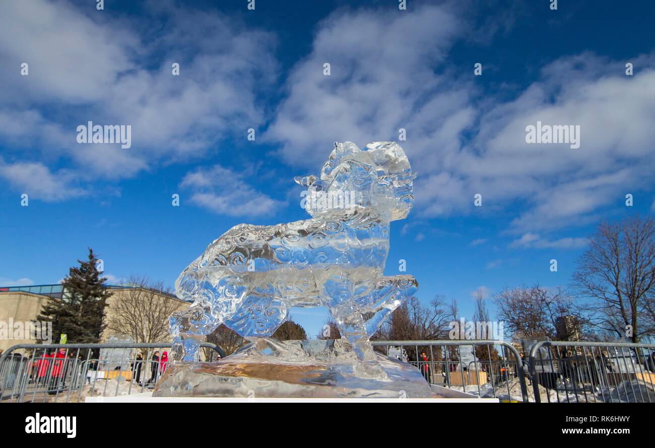 Toronto, Canada. Feb 9, 2019. La sculpture de glace Aries est perçu au cours de la Markham 2019 Festival de glace et de neige à Markham, Ontario, Canada, le 9 février 2019. Avec des dizaines de sculptures de glace faite par des artistes chinois et canadiens, l'événement de 10 jours a débuté le samedi à l'occasion pour tous les habitants de la longueur de l'hiver pour profiter des merveilles et le bonheur illimité dans un domaine unique de la glace et de la neige. Credit : Zou Zheng/Xinhua/Alamy Live News Banque D'Images