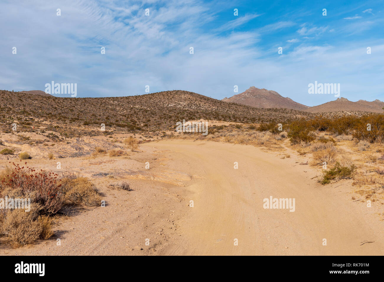 Route de terre menant vers brown hills au désert de Mojave sous un ciel bleu clair avec des nuages blancs moelleux. Banque D'Images