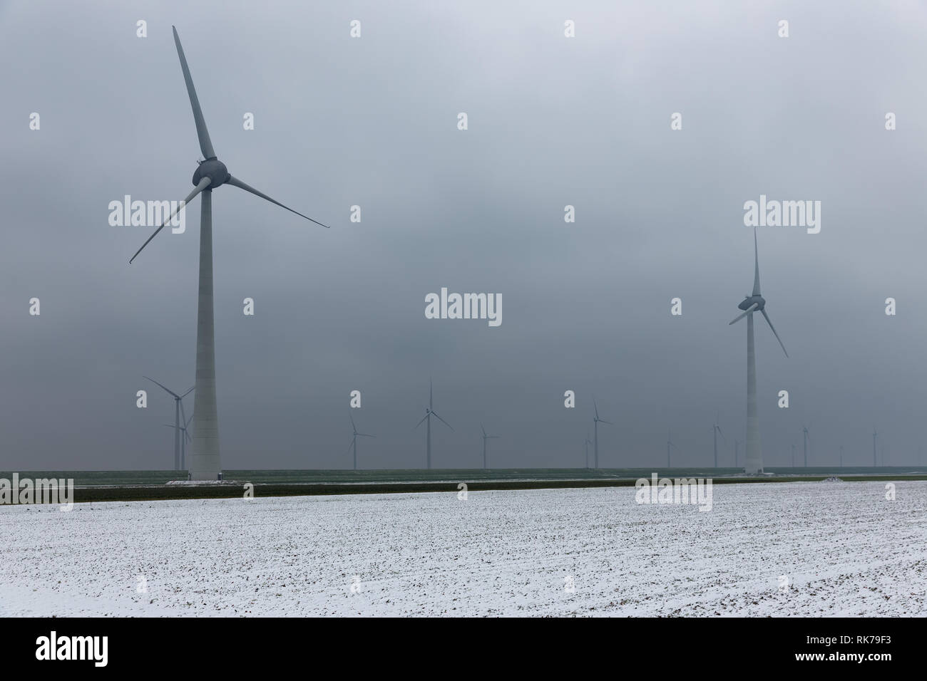 Dutch paysage rural avec les éoliennes dans la brume d'hiver Banque D'Images