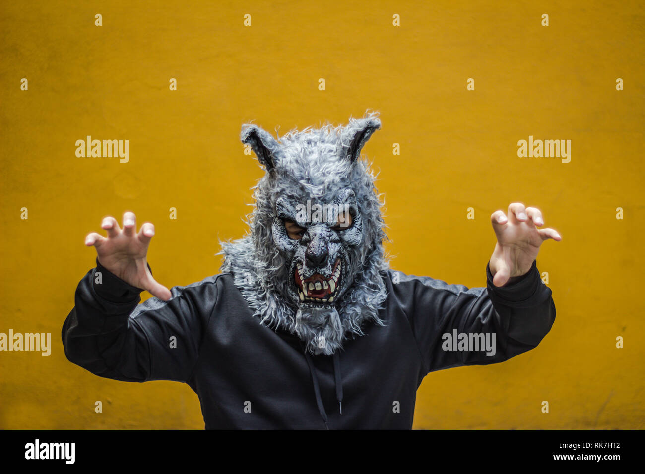 Photo d'une personne avec un masque de loup Banque D'Images