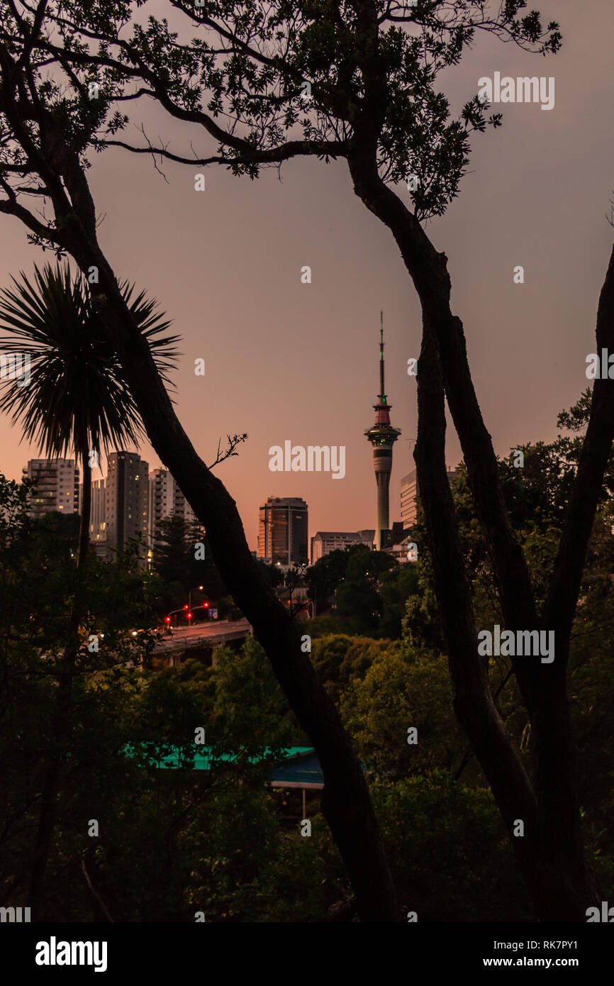 Auckland / Nouvelle-Zélande - 15 décembre 2018 : vue sur cityscape with skytower de parc du domaine au coucher du soleil à Auckland Banque D'Images