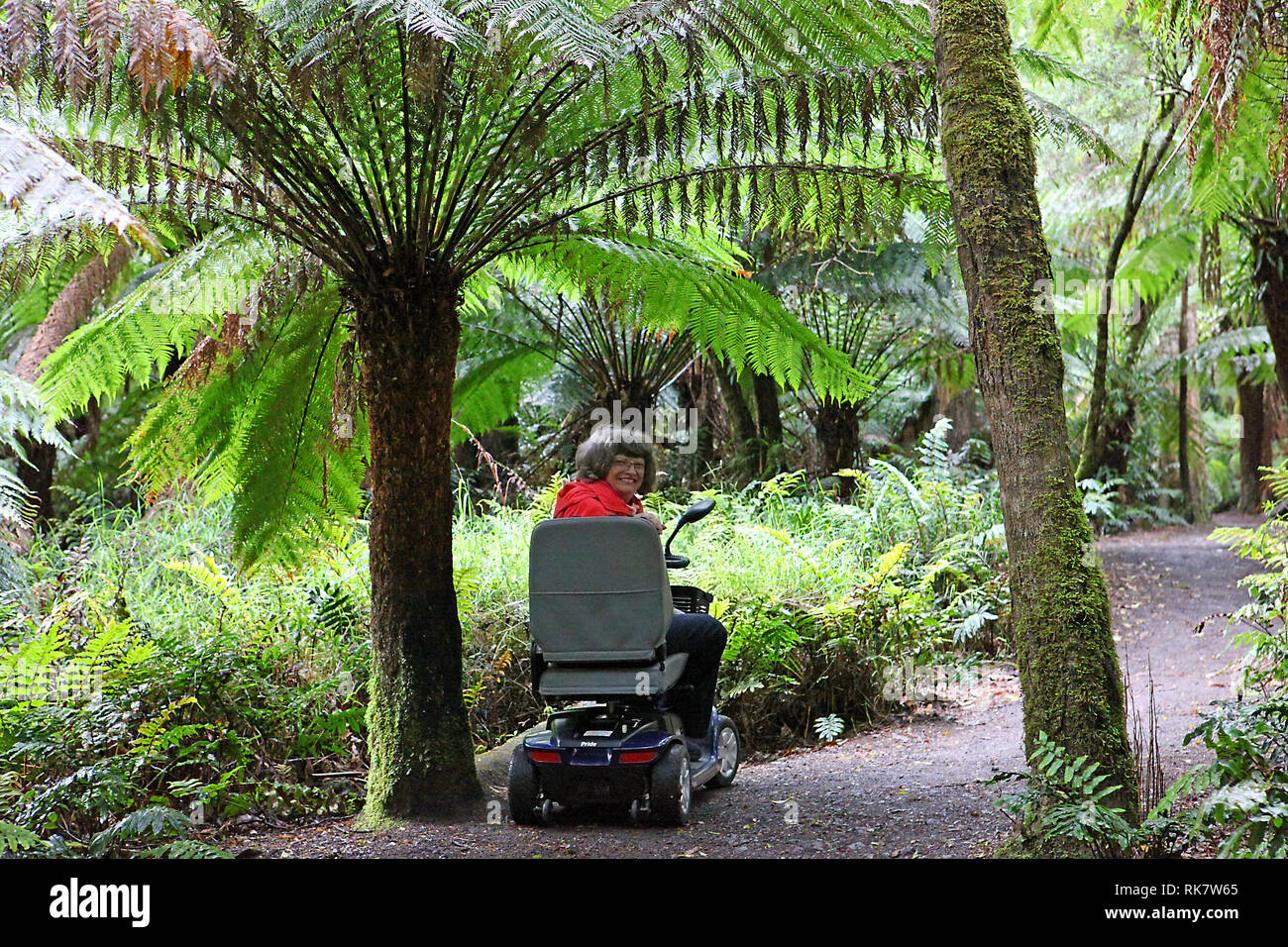 Femme sur un scooter dans la forêt tropicale de l'Australie Banque D'Images
