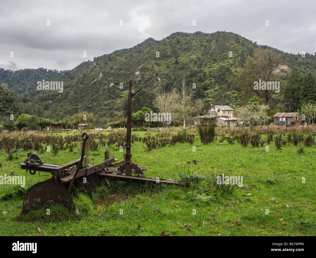 Herse à disques à chevaux abandonnés, les moutons paissent, pâturage abandonné homestead, Ahu Ahu Ohu, Ahuahu, vallée de la rivière Whanganui, Nouvelle-Zélande Banque D'Images