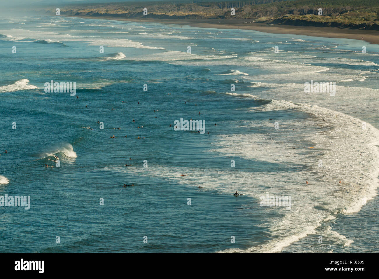 Vue sur côte à Muriwai beach, près de Auckland, Nouvelle-Zélande Banque D'Images