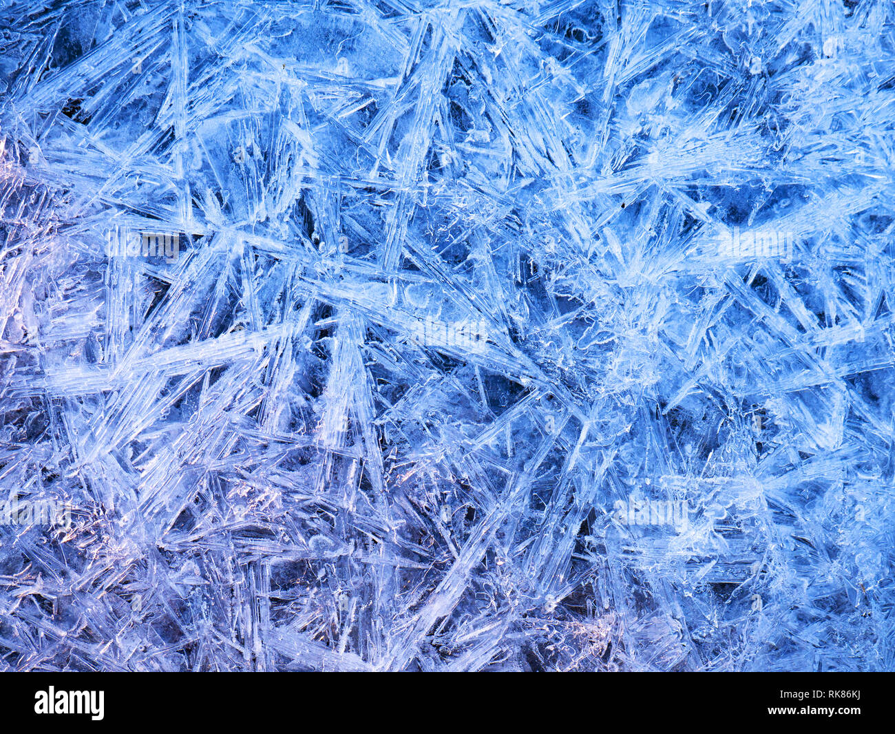 Cristaux de glace sur la neige. La texture background river Banque D'Images