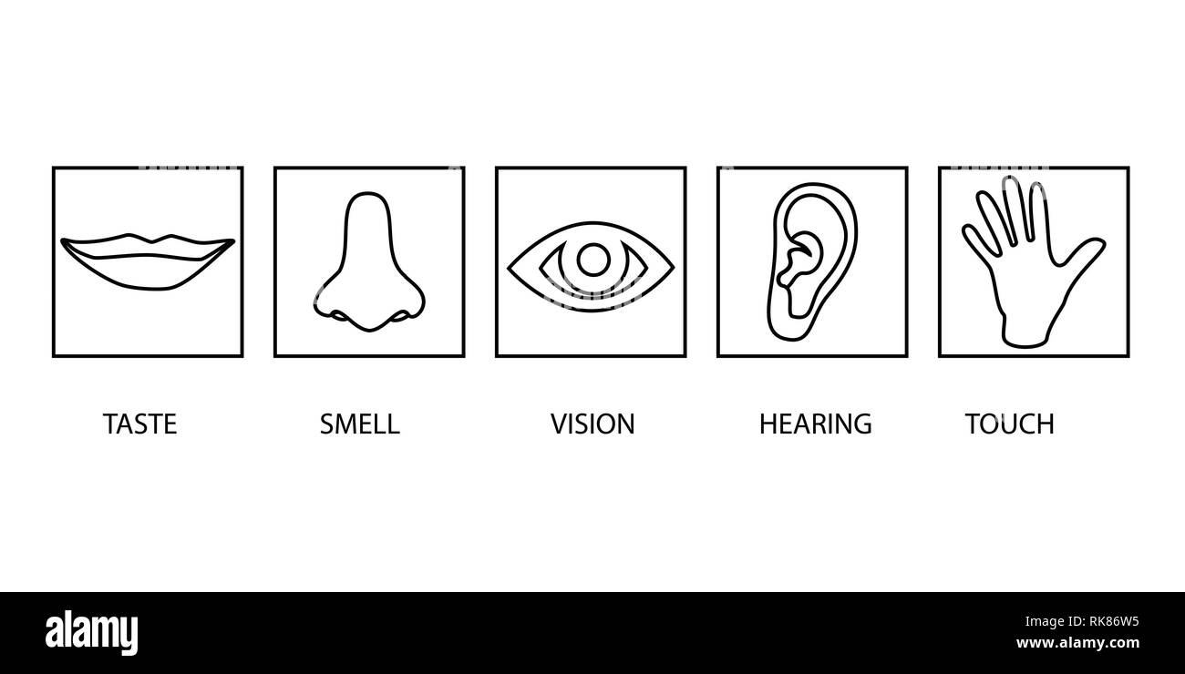 Icon Set de cinq sens humains : vision (oeil), l'odorat (nez), de l'audition (oreille), touch (main), le goût (bouche). Icônes de ligne simple Illustration de Vecteur