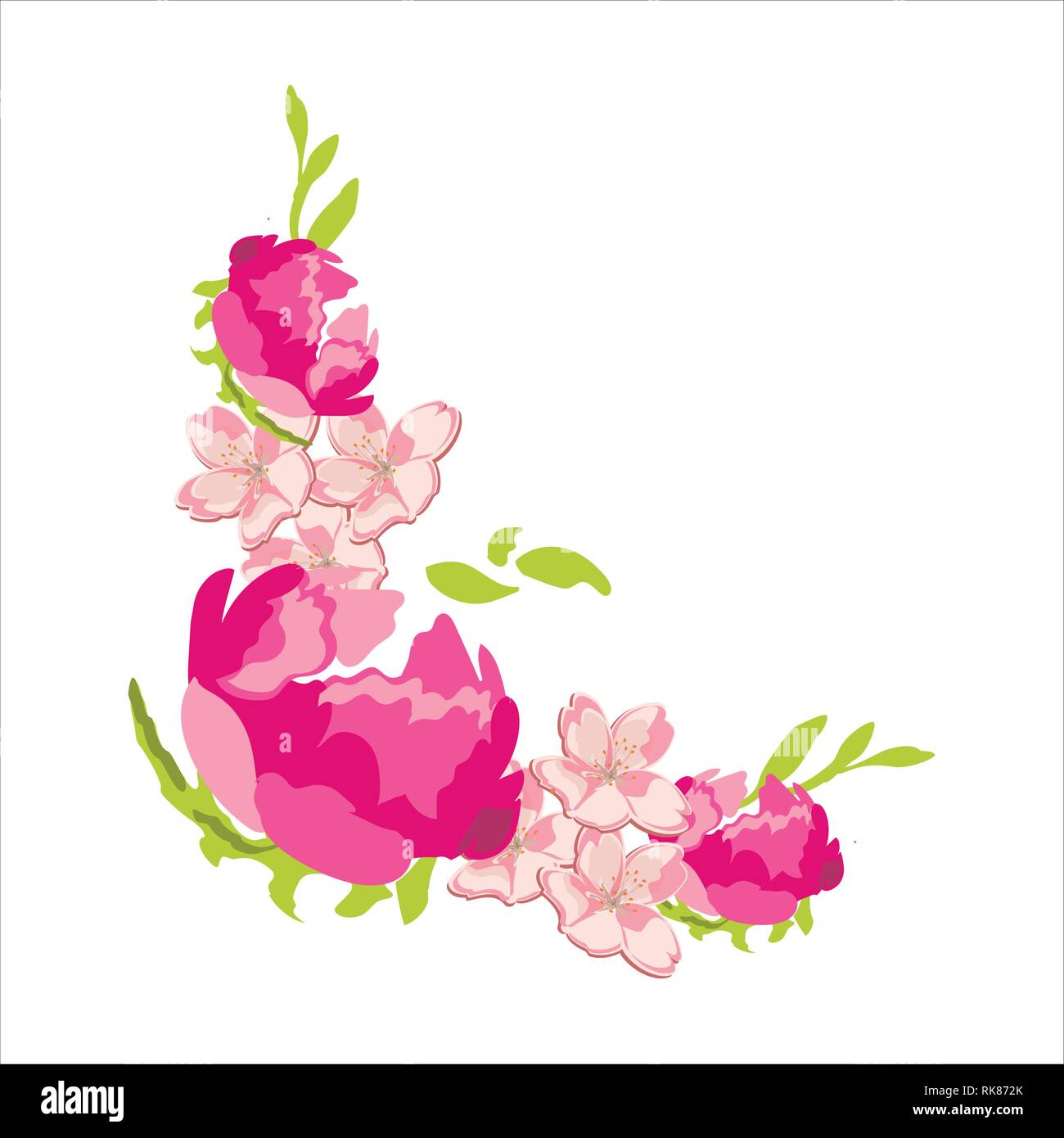 Vector fleur cadre corner isolé sur fond blanc. Les fleurs rose tendre  Image Vectorielle Stock - Alamy