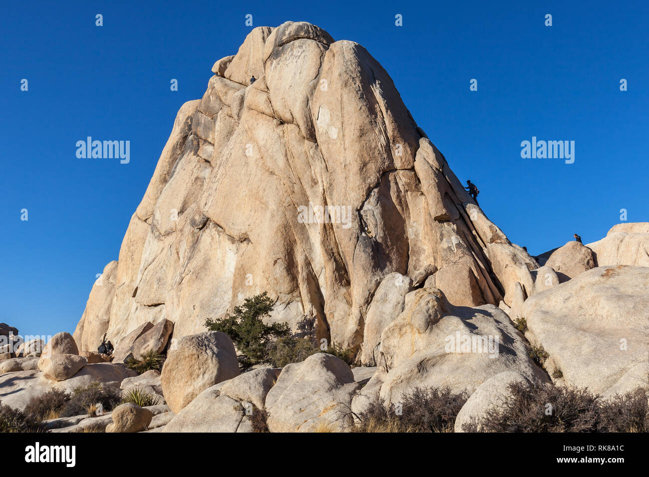 Les gens l'escalade des roches à Joshua Tree National Park, California, USA Banque D'Images