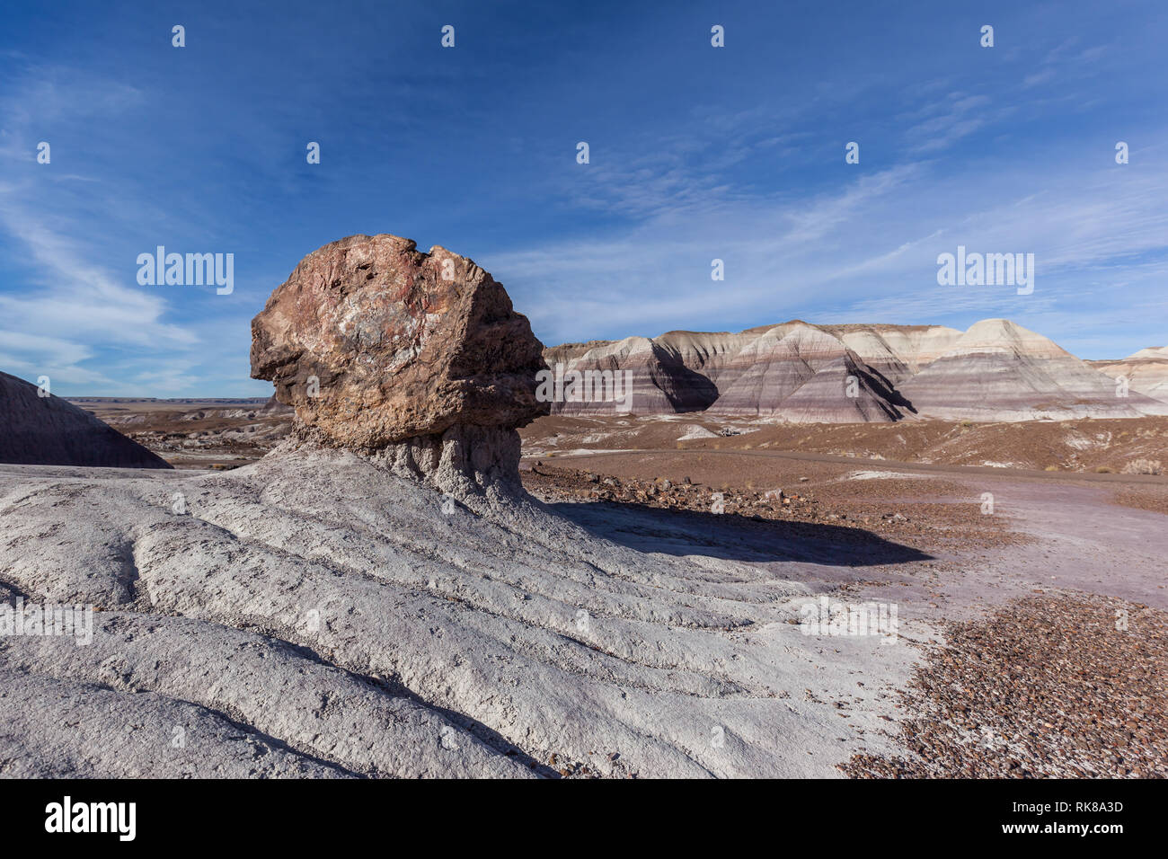 Journaux pétrifié avec badlands en arrière-plan dans le Parc National de la Forêt Pétrifiée, Arizona, États-Unis. Banque D'Images