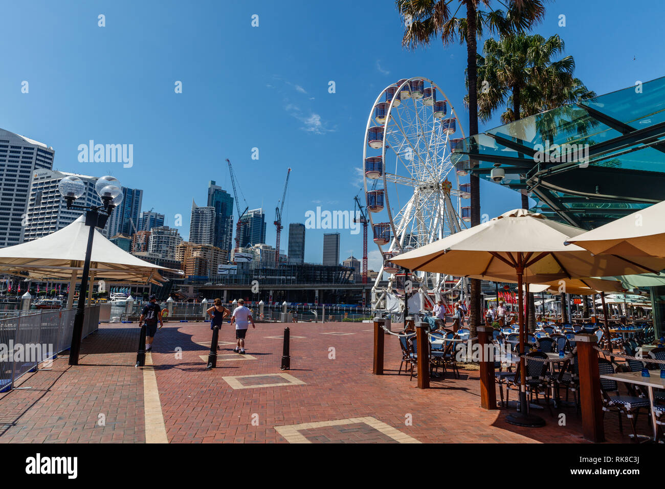 Grande roue à Darling Harbour, Sydney, New South Wales, Australia Banque D'Images