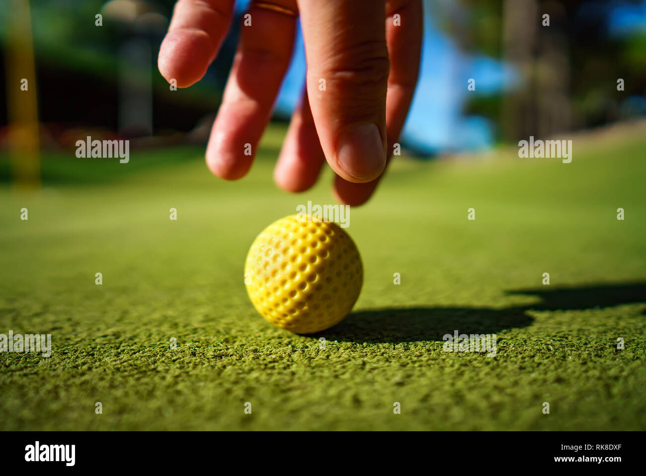 Mini-golf balle jaune sur l'herbe verte au coucher du soleil Banque D'Images