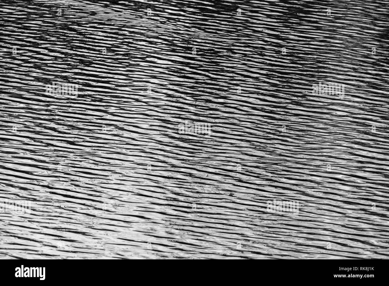 Ondulations sur l'eau du lac Bodenham Herefordshire Angleterre UK Banque D'Images