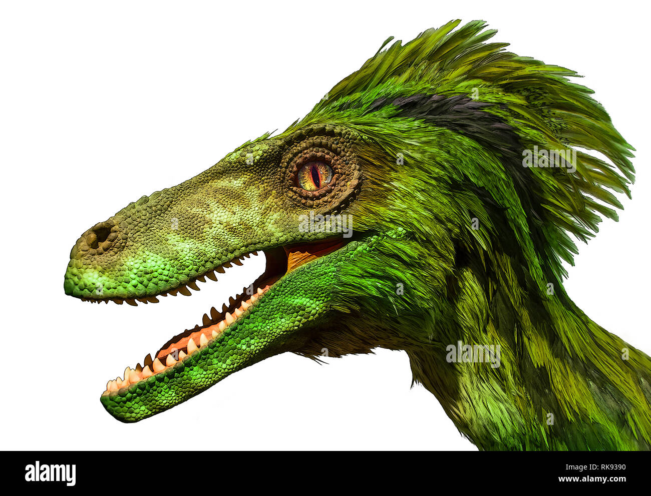 Portrait peinture des dragons verts. Prédateur préhistorique de la tête avec la bouche ouverte isolé sur un fond blanc. Banque D'Images