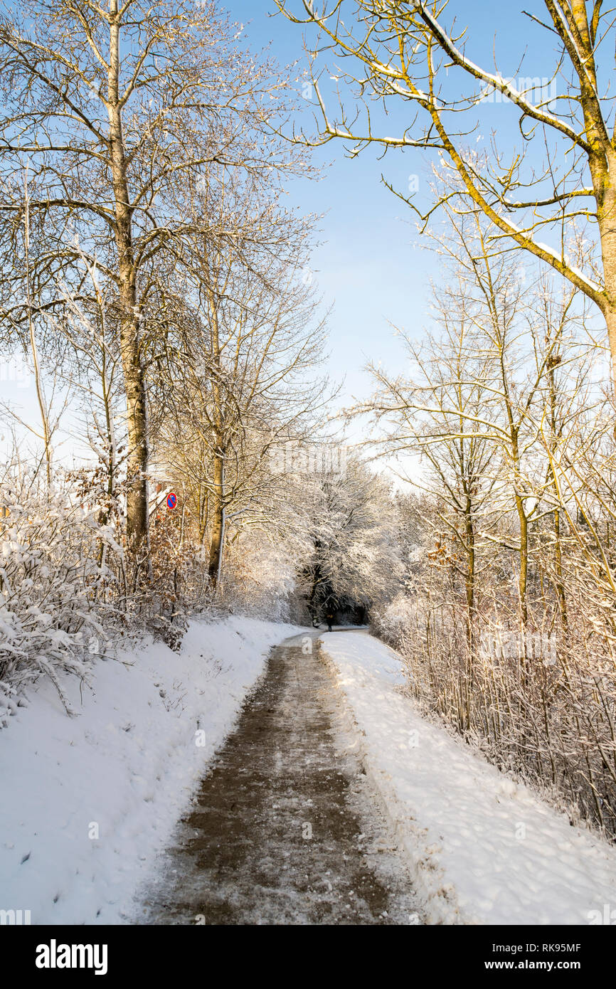 Un petit chemin en hiver bavaroise Banque D'Images
