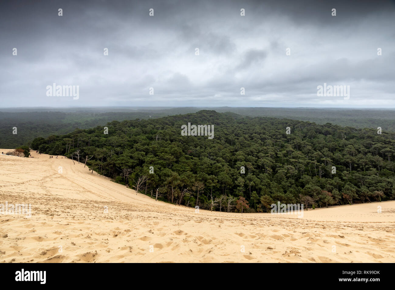 La dune de Pilat est la plus haute dune de sable d'Europe, située à la teste-de-Buch, dans la baie d'Arcachon, en France, à 60 km de Bordeaux. Banque D'Images