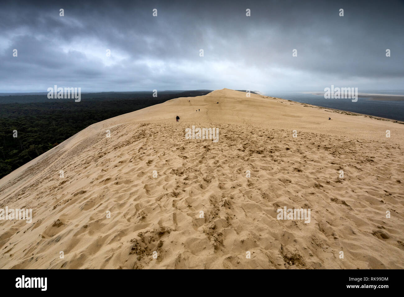 La Dune du Pilat La dune de sable la plus haute d'Europe situé à La Teste-de-Buch dans la région de la Baie d'arcachon france, 60 km de Bordeaux Banque D'Images