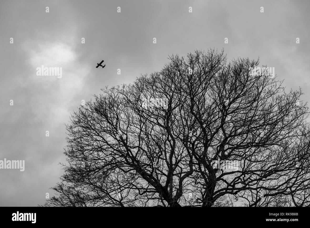 Petit avion sur un arbre et nuages moody ci-dessous Banque D'Images