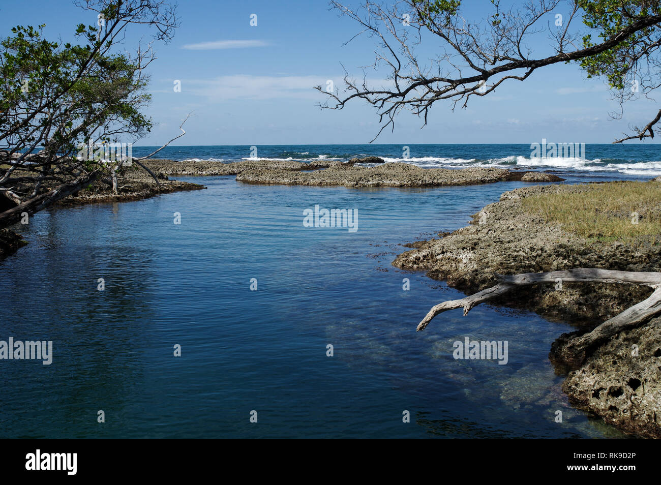 Blue Lagoon sur l'Île de Colon - l'archipel de Bocas del Toro, PANAMA Banque D'Images