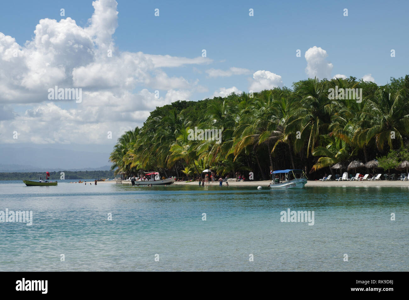 Starfish Beach sur l'Île de Colon - l'archipel de Bocas del Toro, PANAMA Banque D'Images