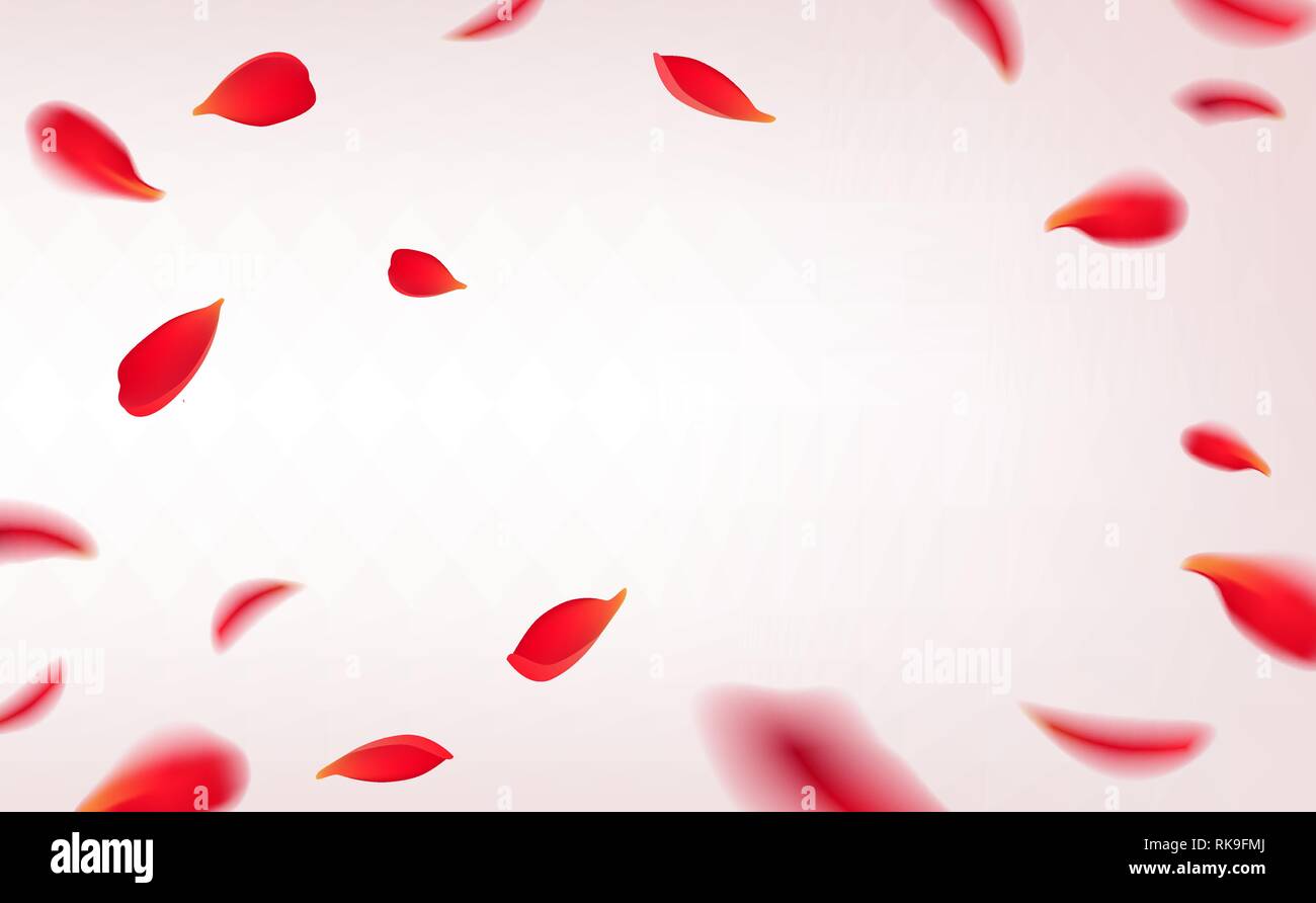 La chute des pétales de rose rouge isolé sur fond blanc. Vector illustration avec pétales de roses beauté cadre, applicables pour la conception de cartes de vœux sur Illustration de Vecteur