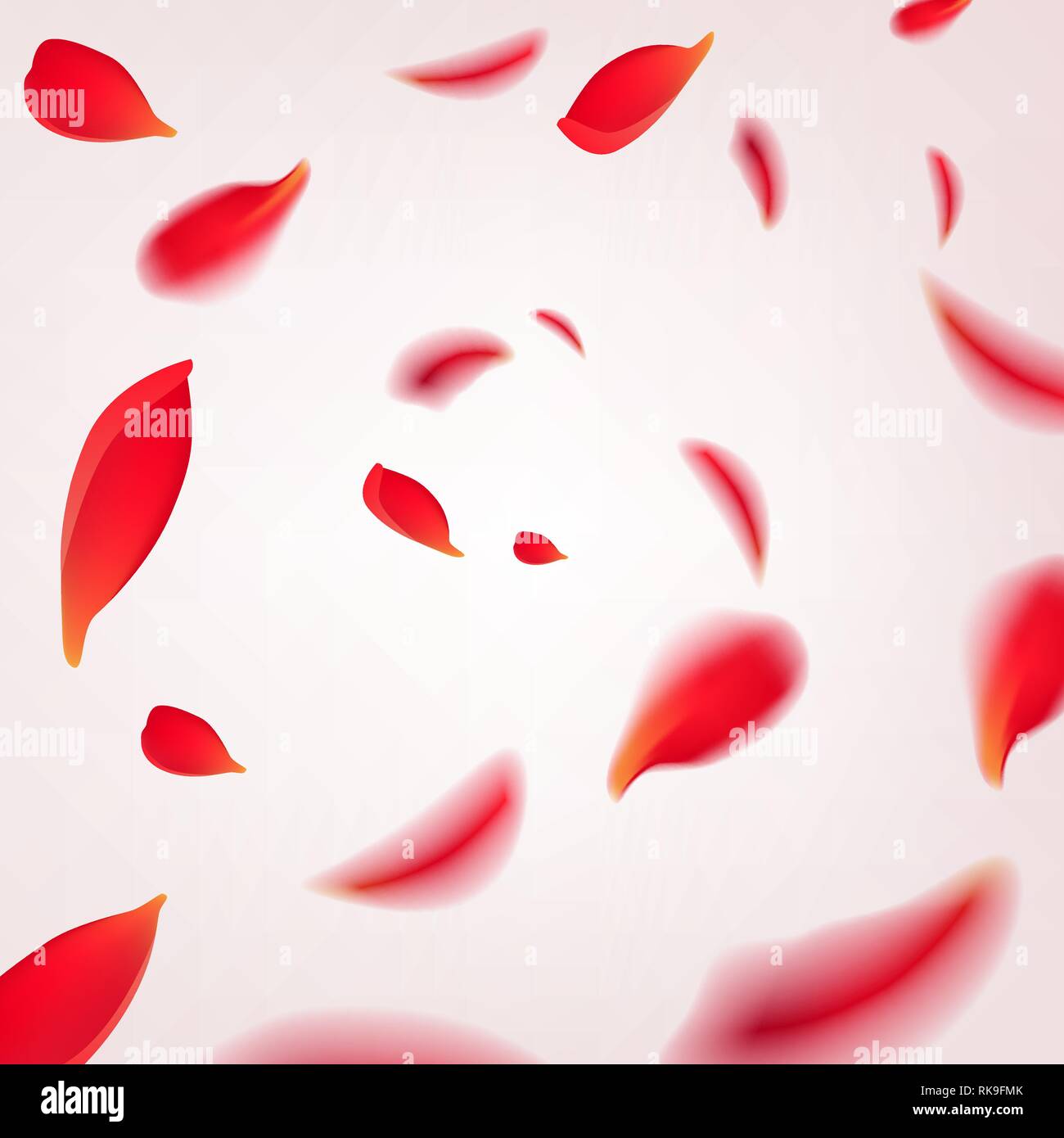 Tourbillon de la chute des pétales de rose rouge isolé sur fond blanc. Illustration Vecteur de beauté avec pétales de roses, il y a lieu pour la conception de l'accueil Illustration de Vecteur