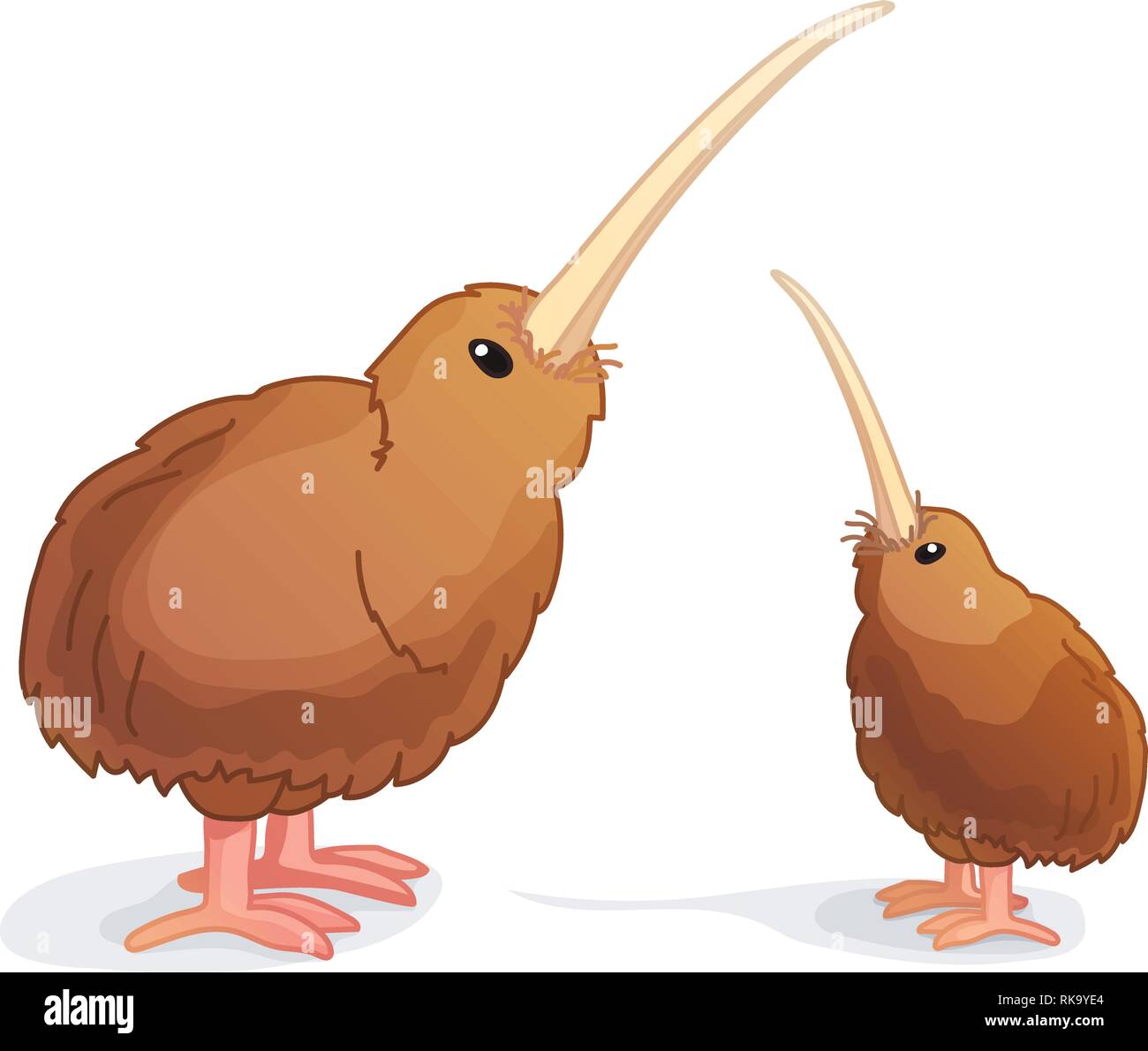 Vector cartoon animal : clipart kiwi oiseau sans ailes Illustration de Vecteur
