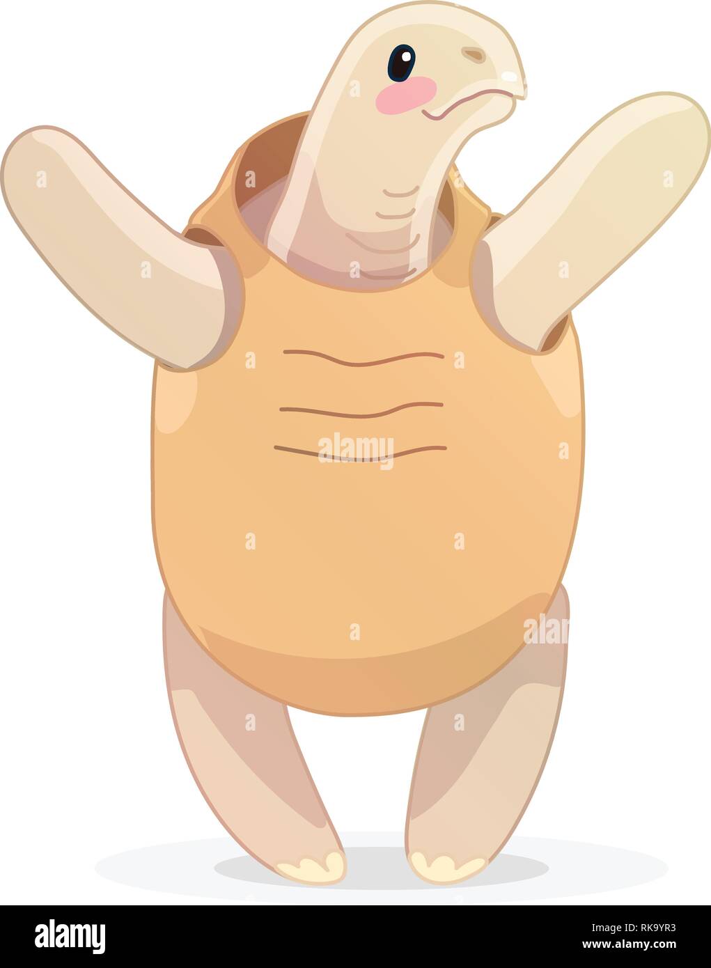 Vector Cartoon Animal Tortue Tortue Clipart Image Vectorielle Stock Alamy