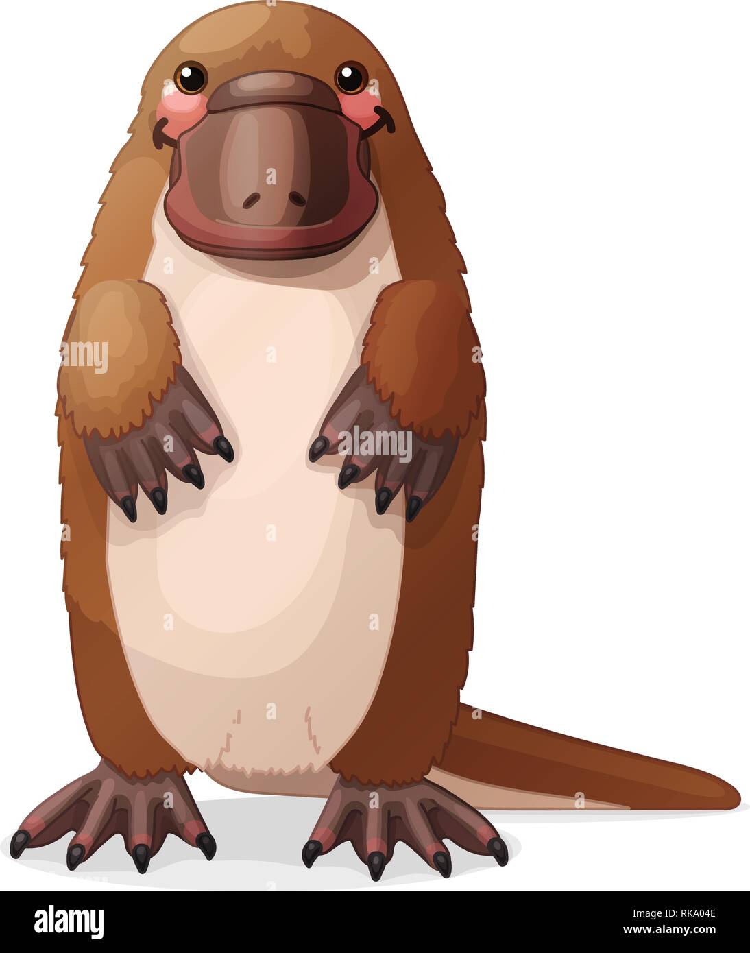Vector cartoon animal : platypus clipart Illustration de Vecteur