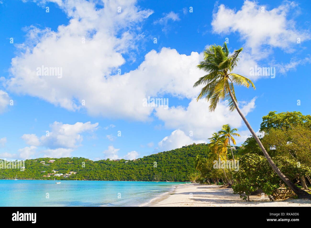 Plage de sable fin sur une île tropicale. Magens Bay a la plus belle plage sur les îles Vierges américaines. Banque D'Images Plage de sable fin sur une île tropicale. Magens Bay a la plus belle plage sur les îles Vierges américaines. Banque D'Images