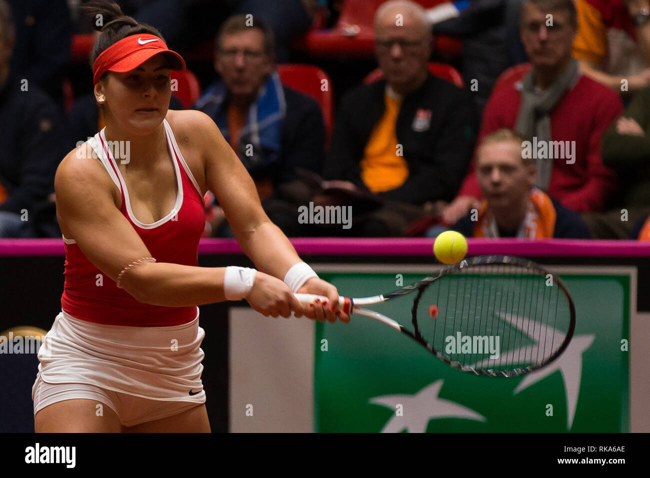 9 février 2019, Den Bosch Pays-Bas Tennis, Fed Cup Pays-bas v Canada Bianca Andreescu (Canada) Crédit : Orange Photos vof/Alamy Live News Banque D'Images