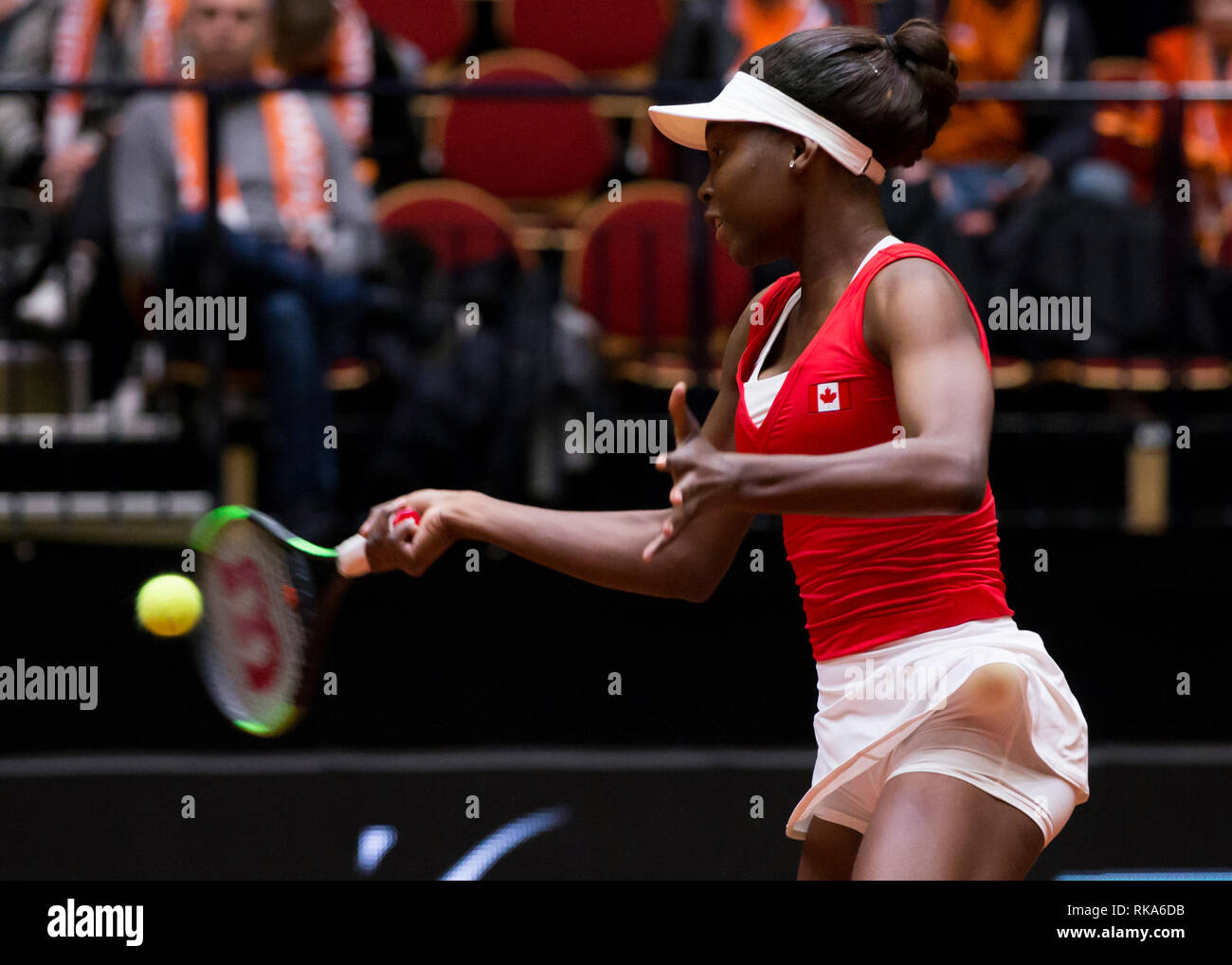 9 février 2019, Den Bosch Pays-Bas Tennis, Fed Cup Pays-bas v Canada Françoise Abanda : Crédit photos Orange/Alamy Live News vof Banque D'Images