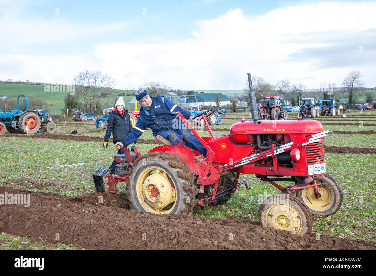 Timogeague, Cork, Irlande. 10 fév, 2019. Rebecca Jennings watchs son père Gordon labourer sur ses 1952 Pony Massey Harris à l'Ouest de Cork Association Labour match qui a eu lieu à tour du lac, dans le comté de Cork, Irlande Crédit : David Creedon/Alamy Live News Banque D'Images