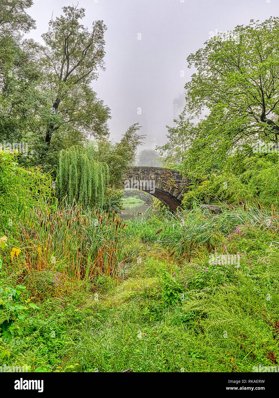 Gapstow bridge in Central Park, New York ?ity Banque D'Images