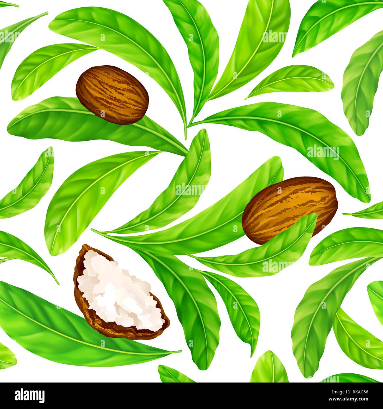 Les noix de karité avec des feuilles dans le vector pattern. Illustration de Vecteur Les noix de karité avec des feuilles dans le vector pattern. Illustration de Vecteur