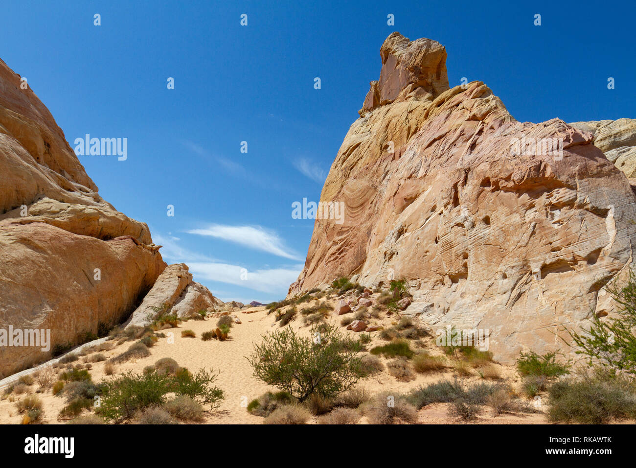 Les coupoles blanches de Valley of Fire State Park, Overton, Nevada, United States. Banque D'Images