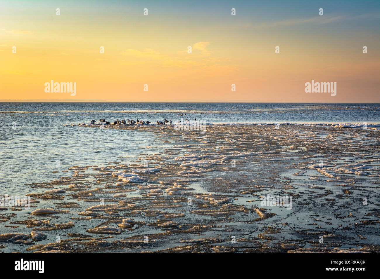 Paysage d'hiver sur la mer Baltique. Soir d'hiver froid à Jastarnia. La Pologne. Banque D'Images