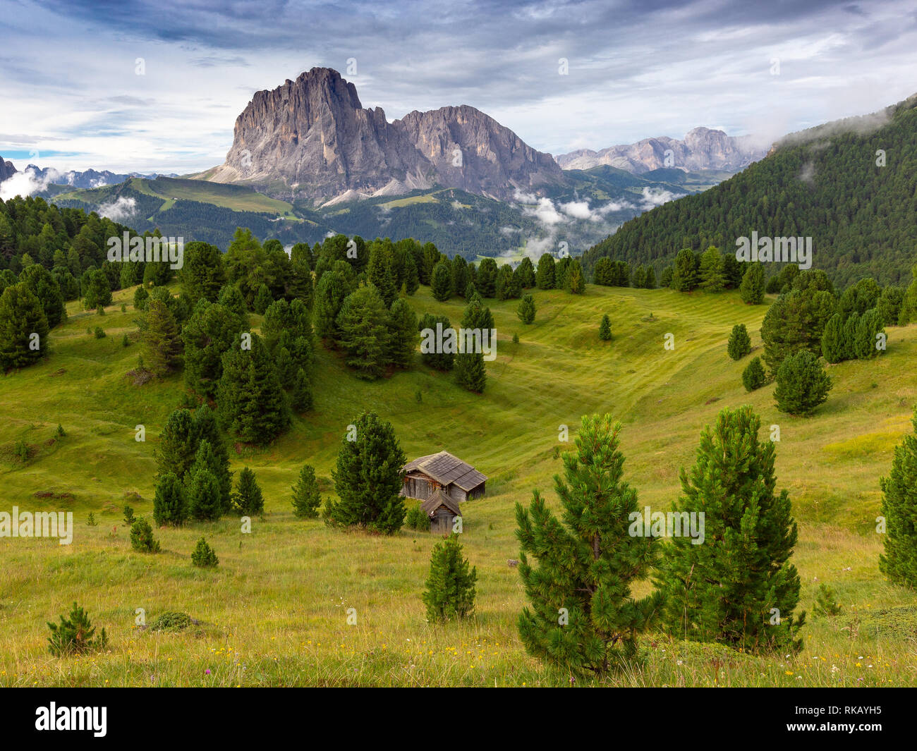 Val Gardena vallée alpine. Prairie alpine et pins en pierre, chalet en bois. Sommets de Sassolungo et Sassopiatto. Les Dolomites. Alpes italiennes. Banque D'Images