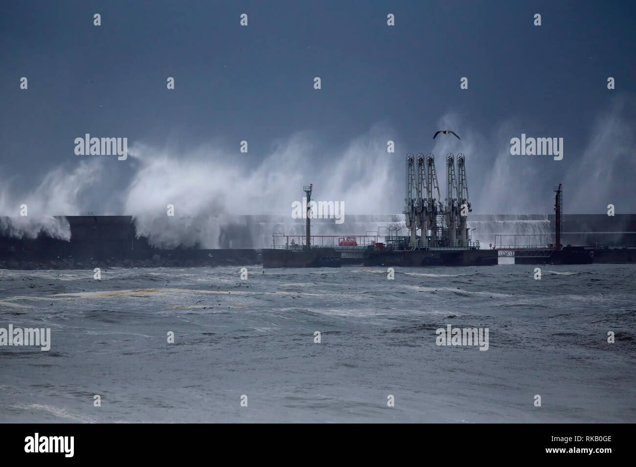 Le port de Leixoes oil terminal sous forte tempête. Banque D'Images